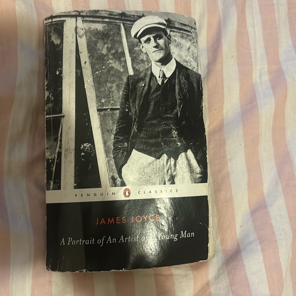 James Joyce, a portrait of an artist as a young man novel
